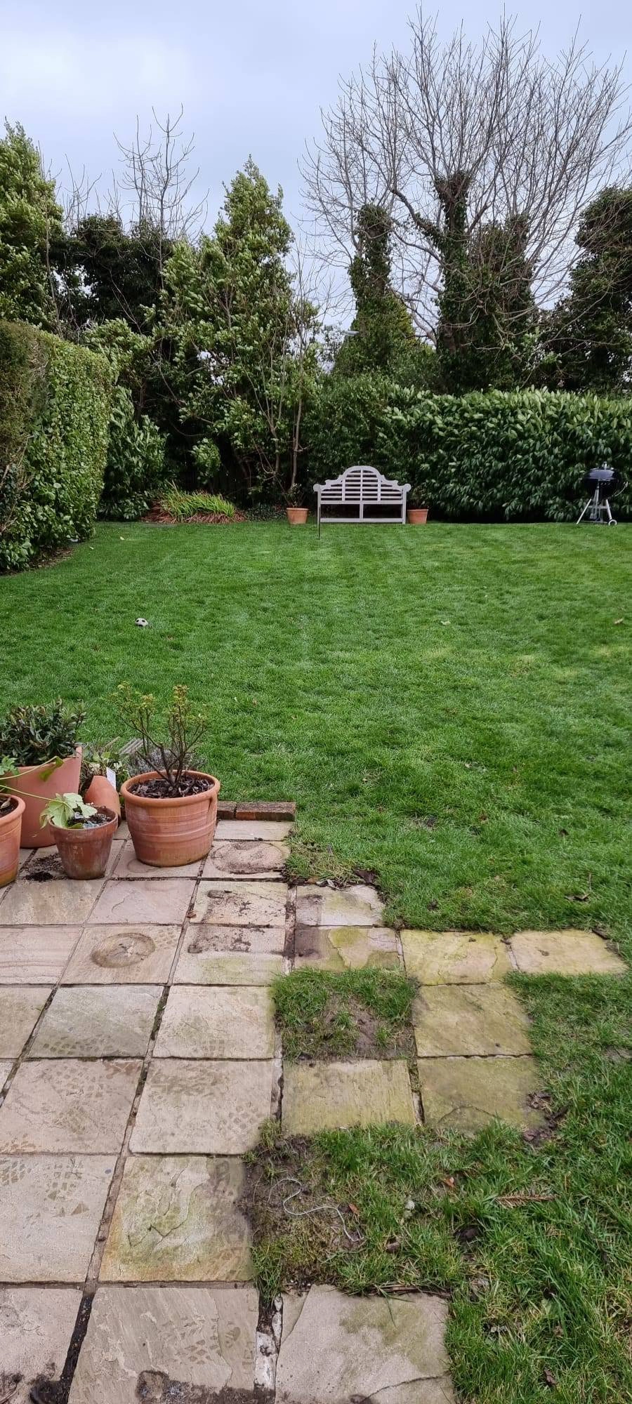 Garden lawn and existing paving beside planting