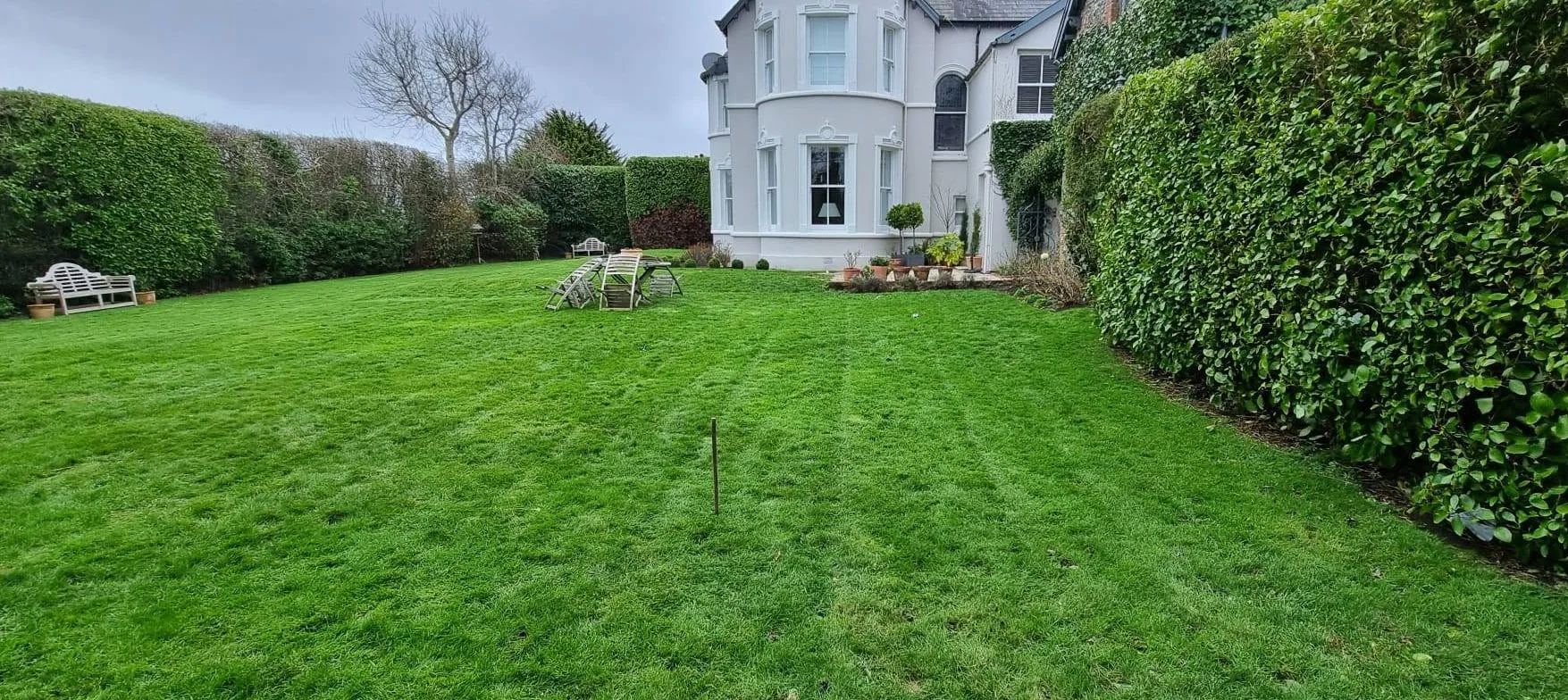 View across the garden lawn towards the house
